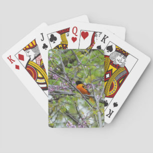 Baraja De Cartas Baltimore Oriole