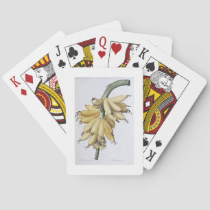 Baraja De Cartas Banana, 1816