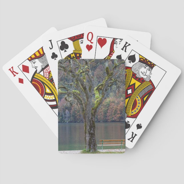 Baraja De Cartas Banco tranquilo junto a un lago, Alemania (Reverso)