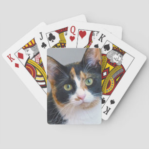 Baraja De Cartas Bandit