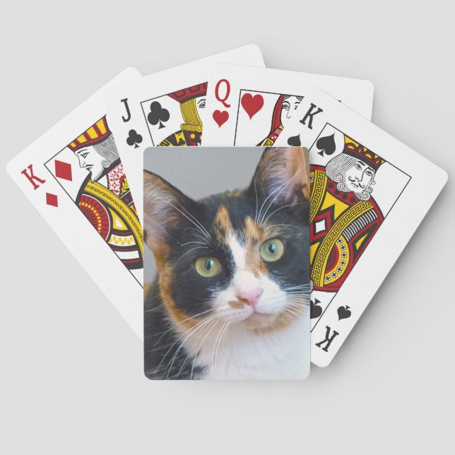 Baraja De Cartas Bandit (Reverso)