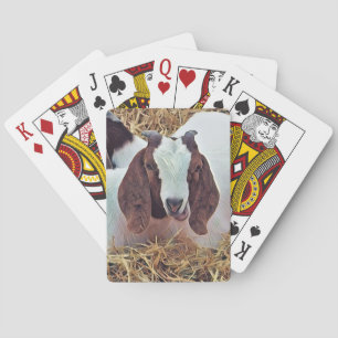 BARAJA DE CARTAS BARBA