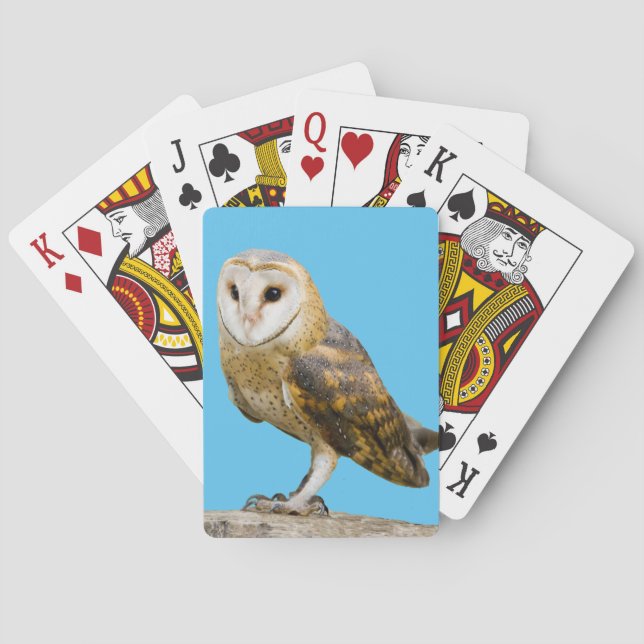 Baraja De Cartas Barn Owl (Reverso)