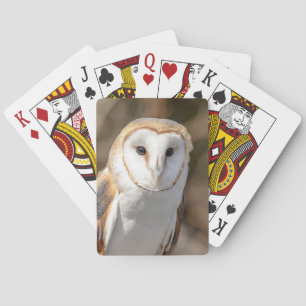 Baraja De Cartas Barn Owl