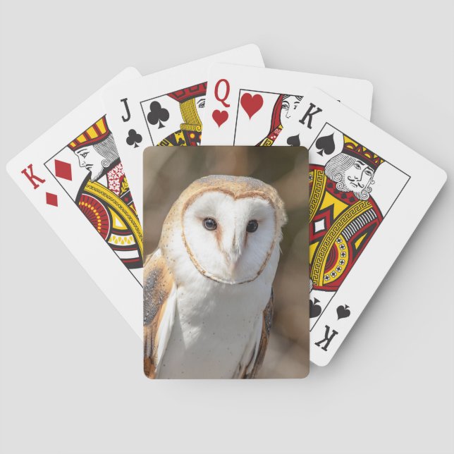 Baraja De Cartas Barn Owl (Reverso)