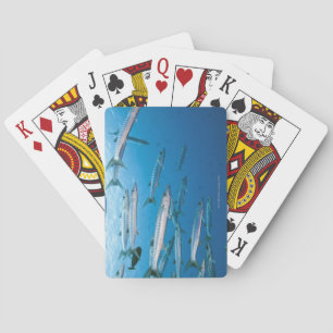 Baraja De Cartas Barracuda de Blackfin