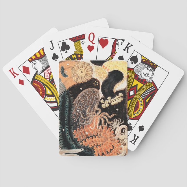 Baraja De Cartas Barrier Reef Anemones (Reverso)