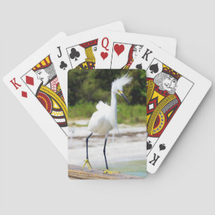 Baraja De Cartas Barrio Egret de Barro de Barro