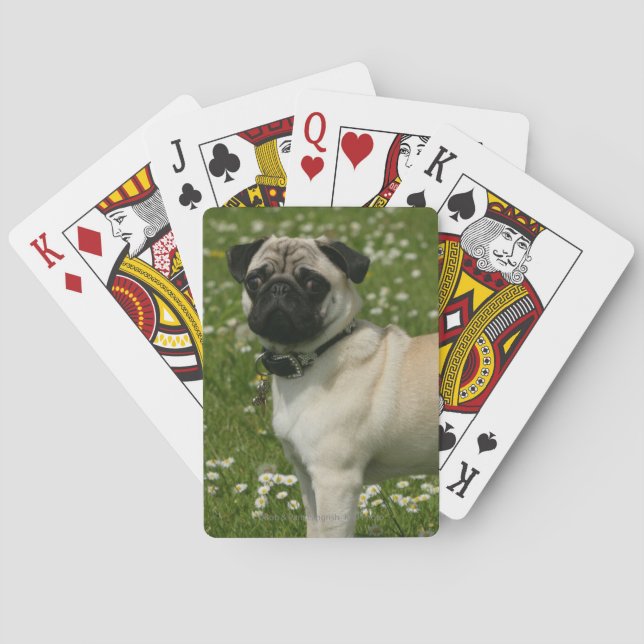 Baraja De Cartas Barro amasado que juega en flores (Reverso)