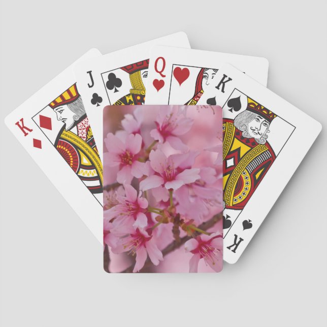 Baraja De Cartas Bathin in Pink Japanese Cherry Blossoms (Reverso)