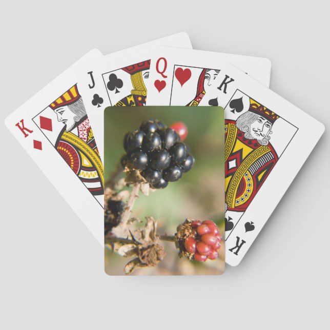 Baraja De Cartas Bayas de Otoño (Reverso)