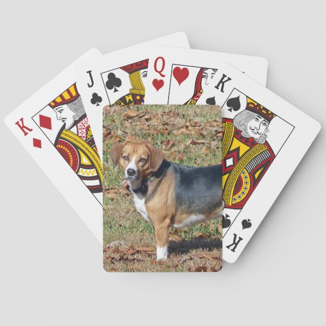 Baraja De Cartas Beagle (Reverso)