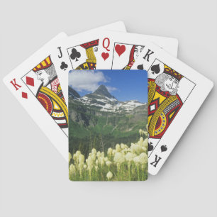 Baraja De Cartas Beargrass cerca de Logan Pass en Gacier National