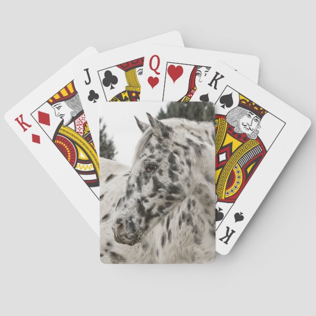 Baraja De Cartas Beautiful Appaloosa Horse, Western (Reverso)