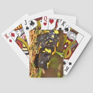 Baraja De Cartas Beautiful Fire Salamander
