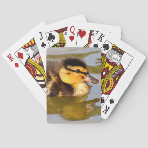 Baraja De Cartas Bebé Mallard Duck Natación