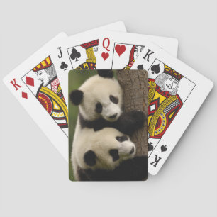 Baraja De Cartas Bebés de panda gigante (Ailuropoda melanoleuca) 2
