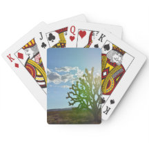 Belleza del desierto