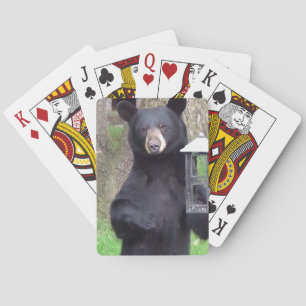Baraja De Cartas Bello oso negro