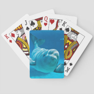 Baraja De Cartas Beluga Whale
