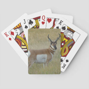 Baraja De Cartas Berrendo A1 Gran Ciervo