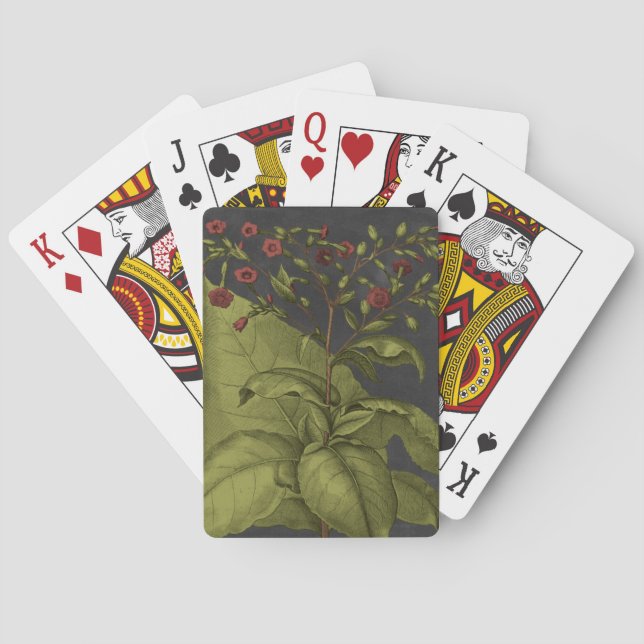 Baraja De Cartas Besler Dramatique I (Reverso)