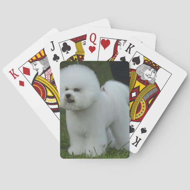 Baraja De Cartas Bichon adorable (Reverso)