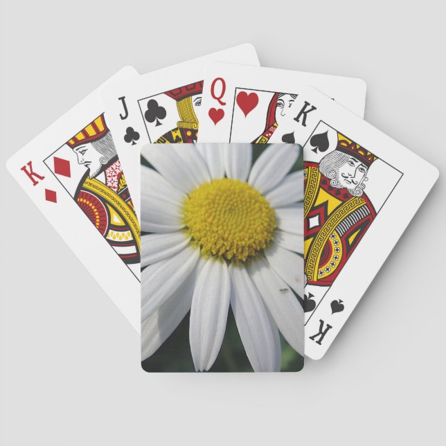 Baraja De Cartas Big Daisy (Reverso)