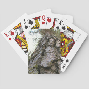 Baraja De Cartas Big Wood Ponderosa Pine