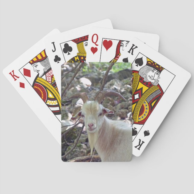 Baraja De Cartas Billy Goat (Reverso)