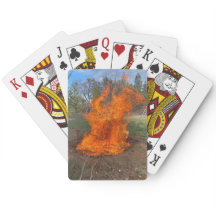 Biochar de la capa terrestre