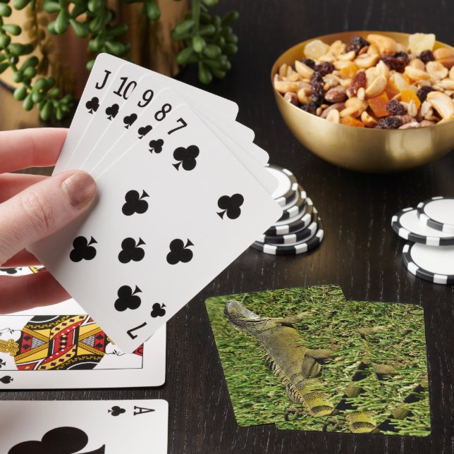 Baraja De Cartas Bisagras verdes de iguana en hierba (In Situ)