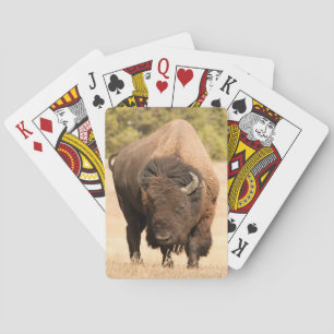 Baraja De Cartas Bison