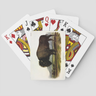 Baraja De Cartas Bison Americano, o Búfalo (Bison bison) - Audubon