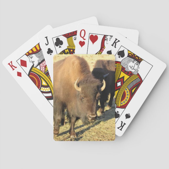 Baraja De Cartas Bison de Colorado (Reverso)