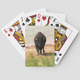 Baraja De Cartas Bison en el agua