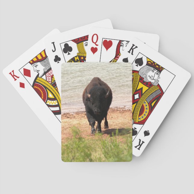 Baraja De Cartas Bison en el agua (Reverso)