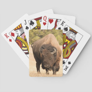Baraja De Cartas Bisonte