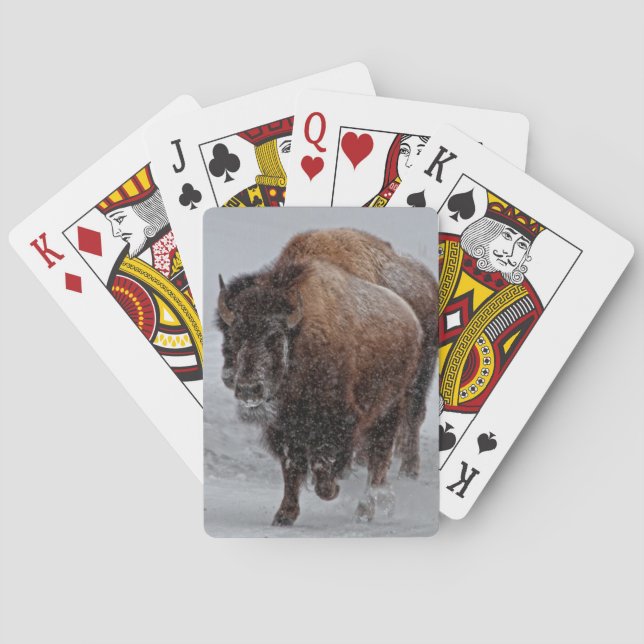 Baraja De Cartas Bisonte de Yellowstone (Reverso)