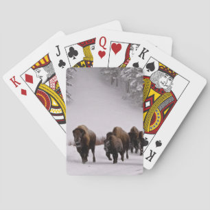 Baraja De Cartas Bisonte en invierno