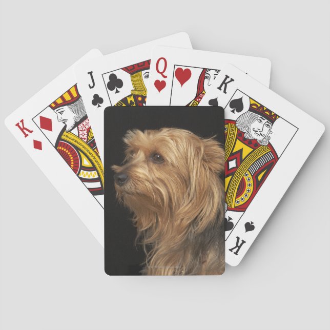 Baraja De Cartas Black and brown Yorkie left profile on black (Reverso)