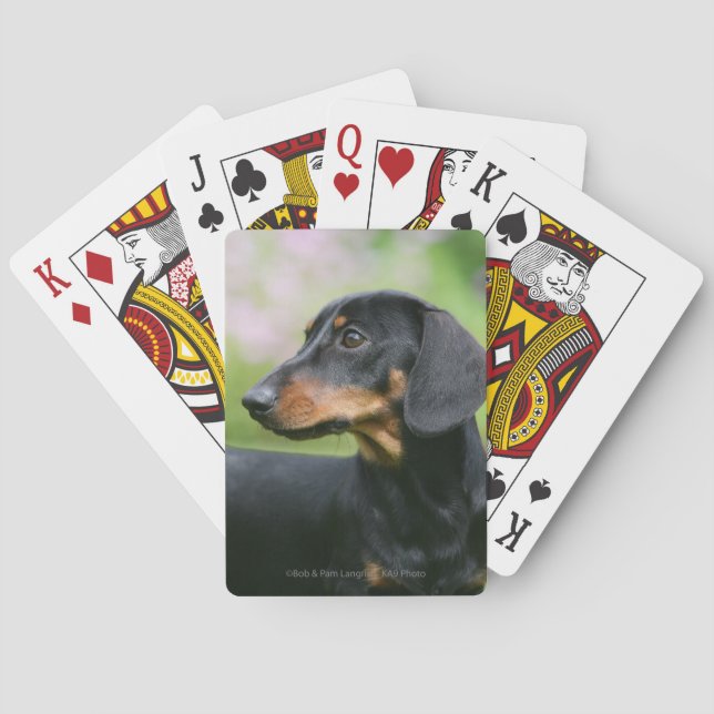 Baraja De Cartas Black and Tan Miniture Dachshund 2 (Reverso)