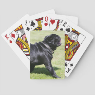 Baraja De Cartas Black Pug Panting Mientras Camina