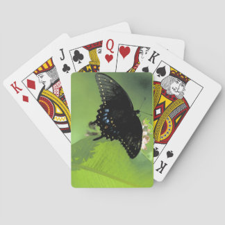 Baraja De Cartas Black Swallowtail Jumbo Index Cards