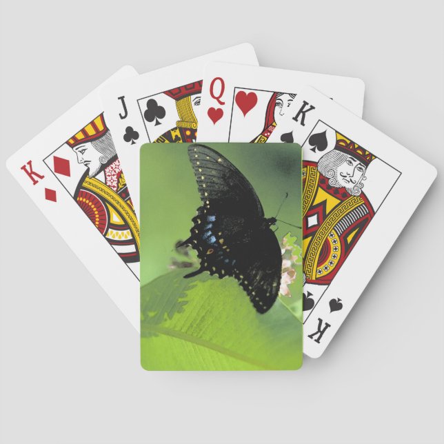 Baraja De Cartas Black Swallowtail Jumbo Index Cards (Reverso)