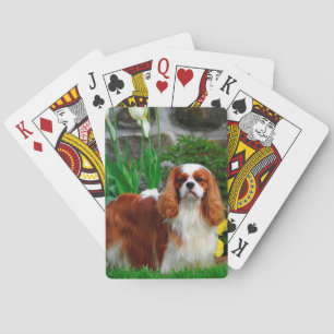 Baraja De Cartas Blenheim Cavalier Rey Carlos Español Perro