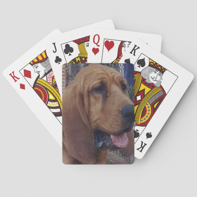 Baraja De Cartas Bloodhound.png (Reverso)