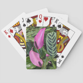 Baraja De Cartas Bloomas de antrurio rosado y follaje de leafy