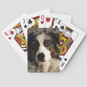 Baraja De Cartas Blue Collie