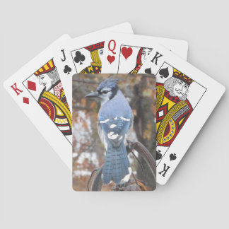 Baraja De Cartas Blue Jay